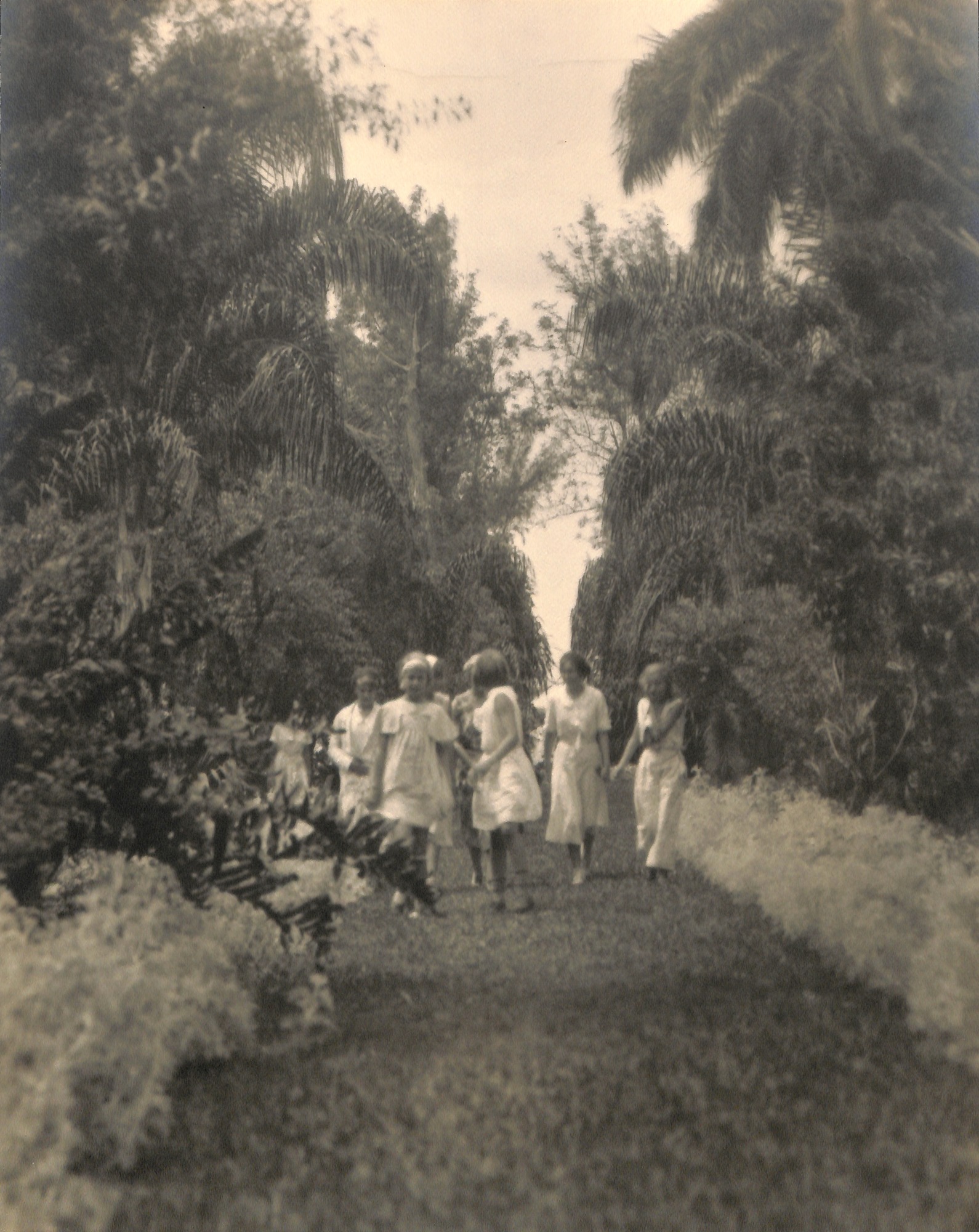 Thomas Edison's property in Fort Myers, Florida