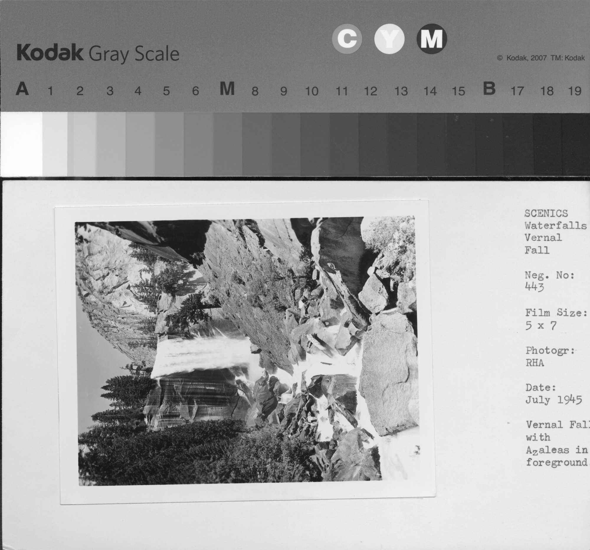 Vernal Fall with Azaleas in foreground.