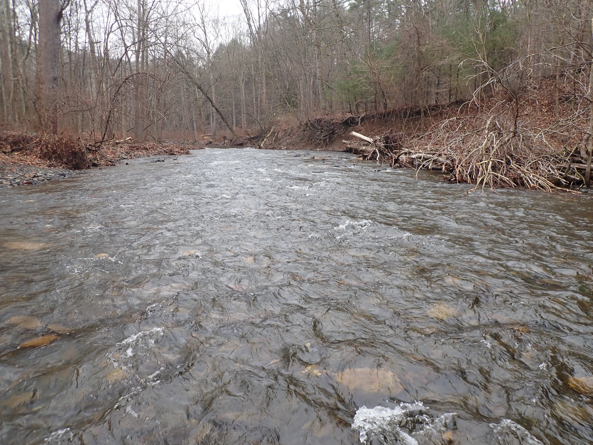 Site visit photo showing the upstream (UP) or downstream (DN) view of a wadeable stream reach taken during benthic macroinvertebrate monitoring at Delaware Water Gap National Recreation Area.
