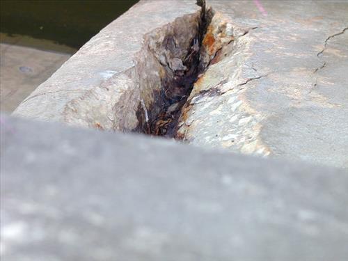 Marina bulkheads at Everglades National Park, Flamingo District in December 2006