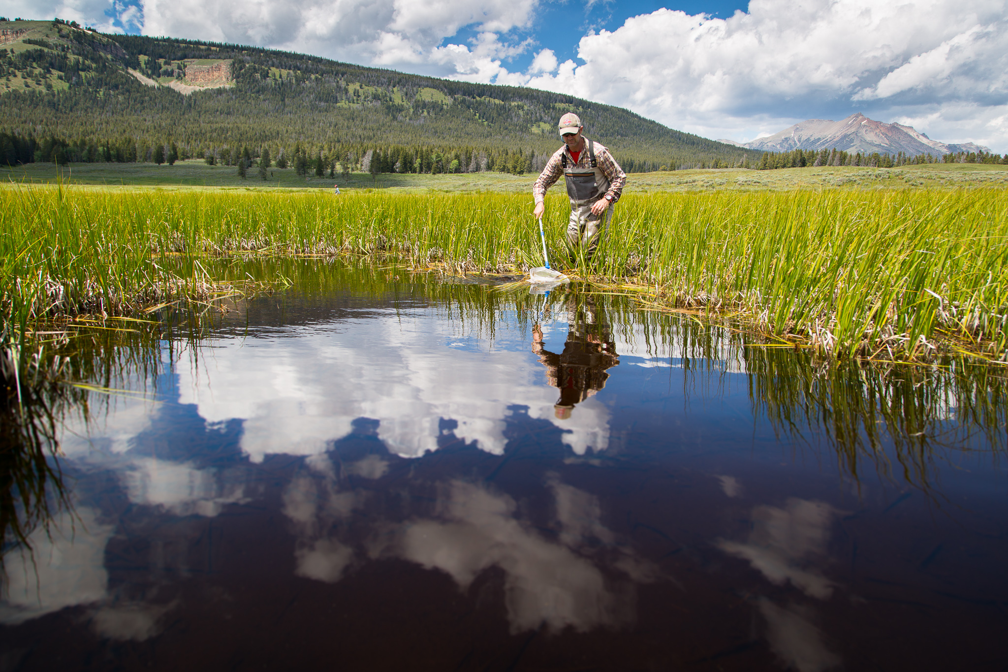 Man in waders uses dipnet in wetland pond reflecting a blue sky