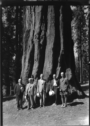 Governors' Conference in Big Trees.