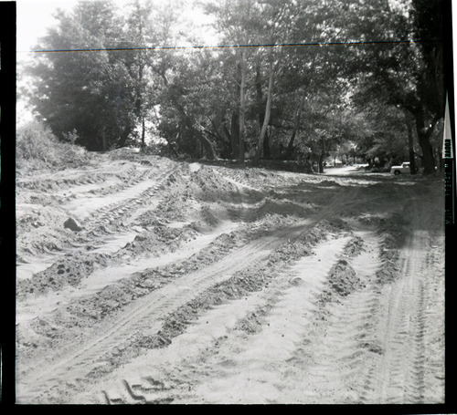 Road being cleared and prepared for construction along the scenic canyon drive near the Grotto.
