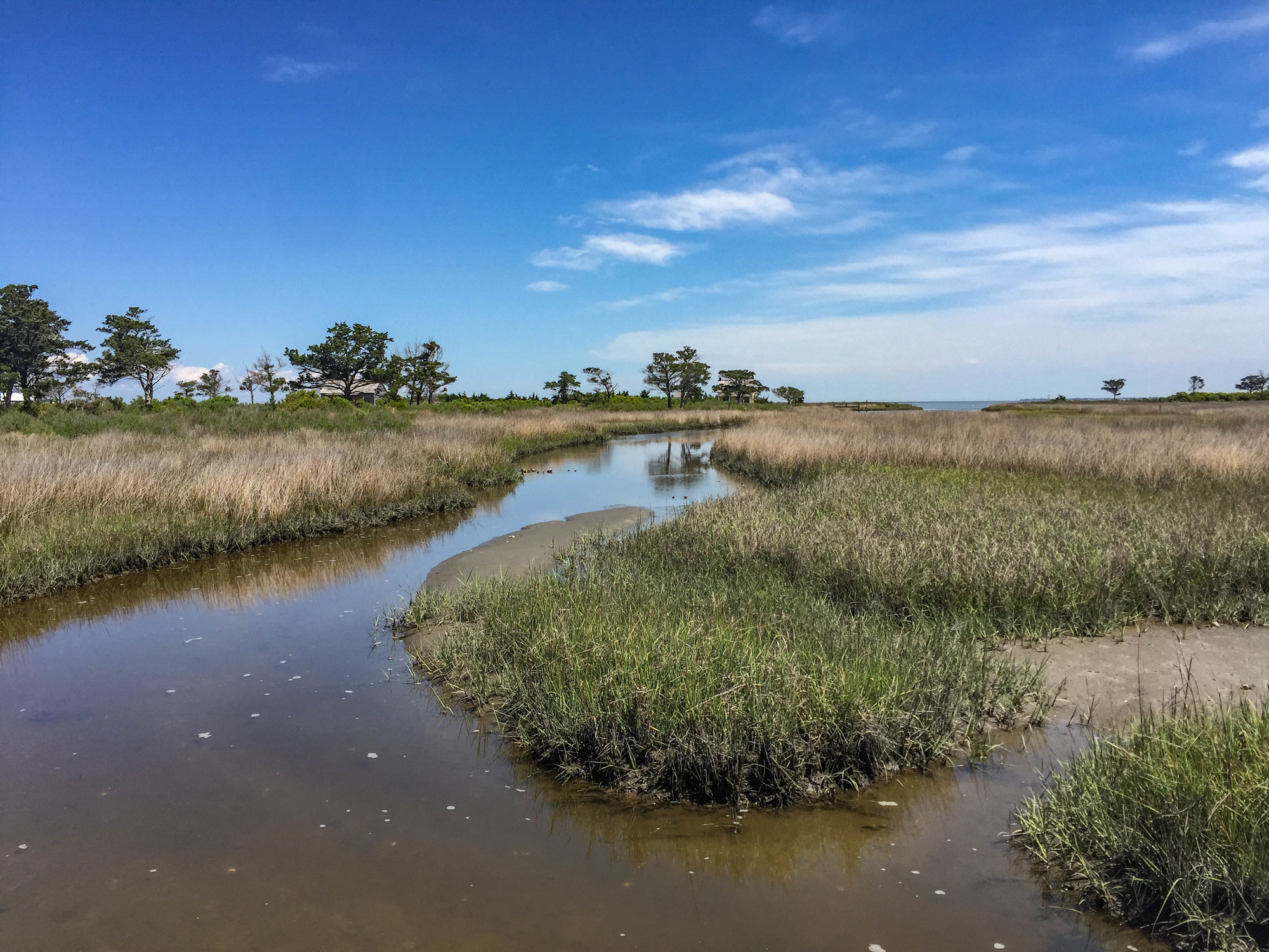 Marsh area leading to a village