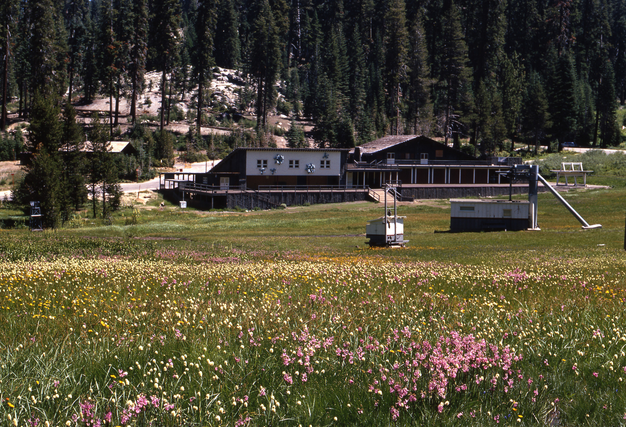Monroe Meadow