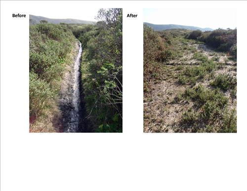 Realignment of Dias Ridge Trail