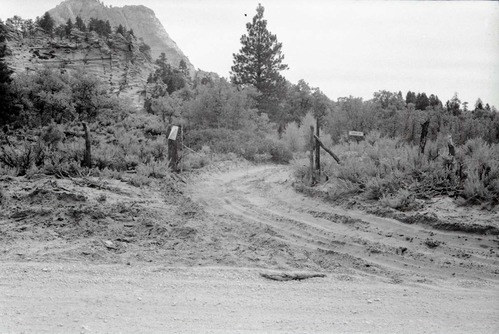 BW photo of the 1937 grazing study 35MM. Gate and dirt road.