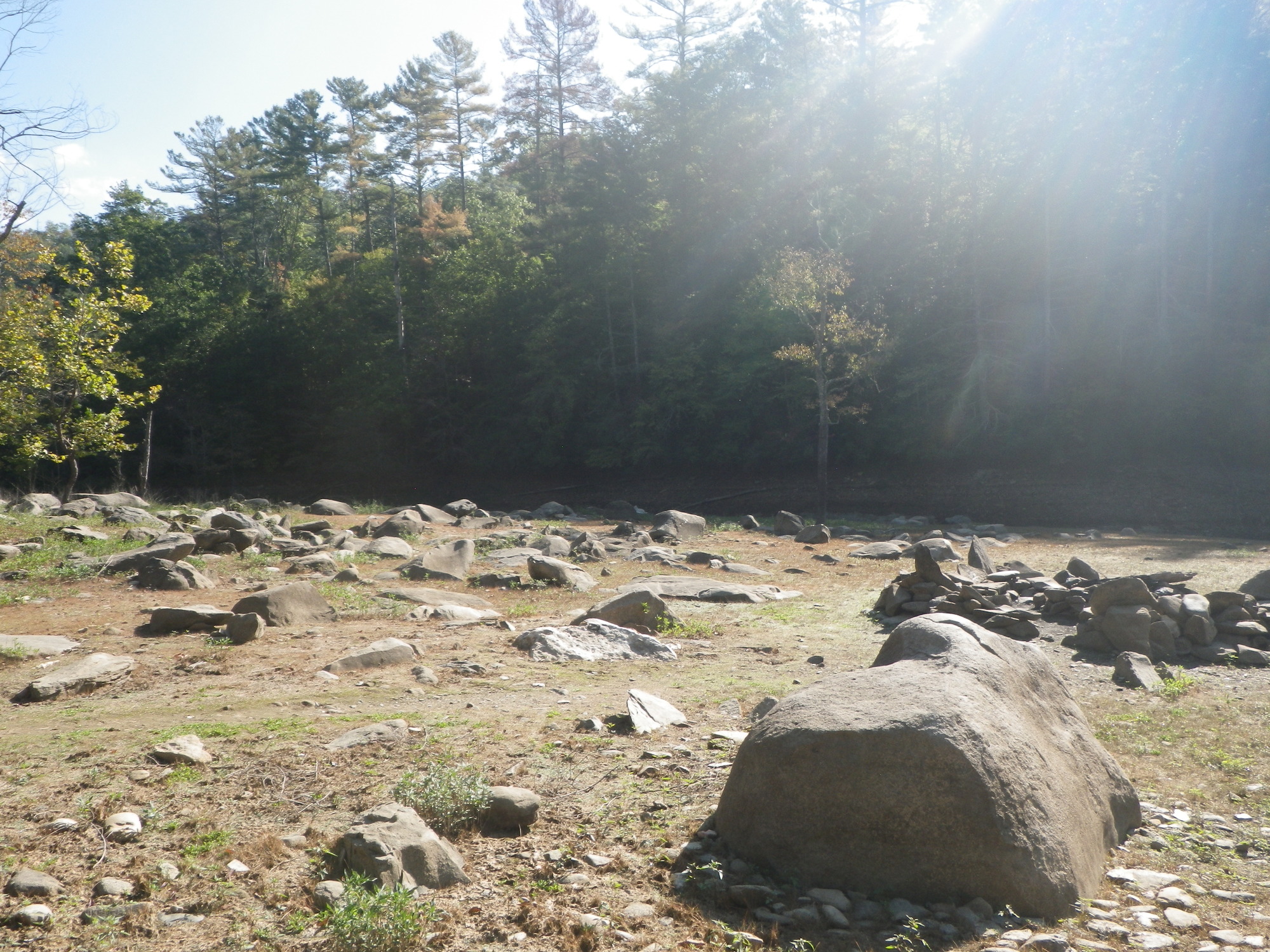 GRSM Accuracy Assessment. Plot Code: GRSM_AA_0140_3