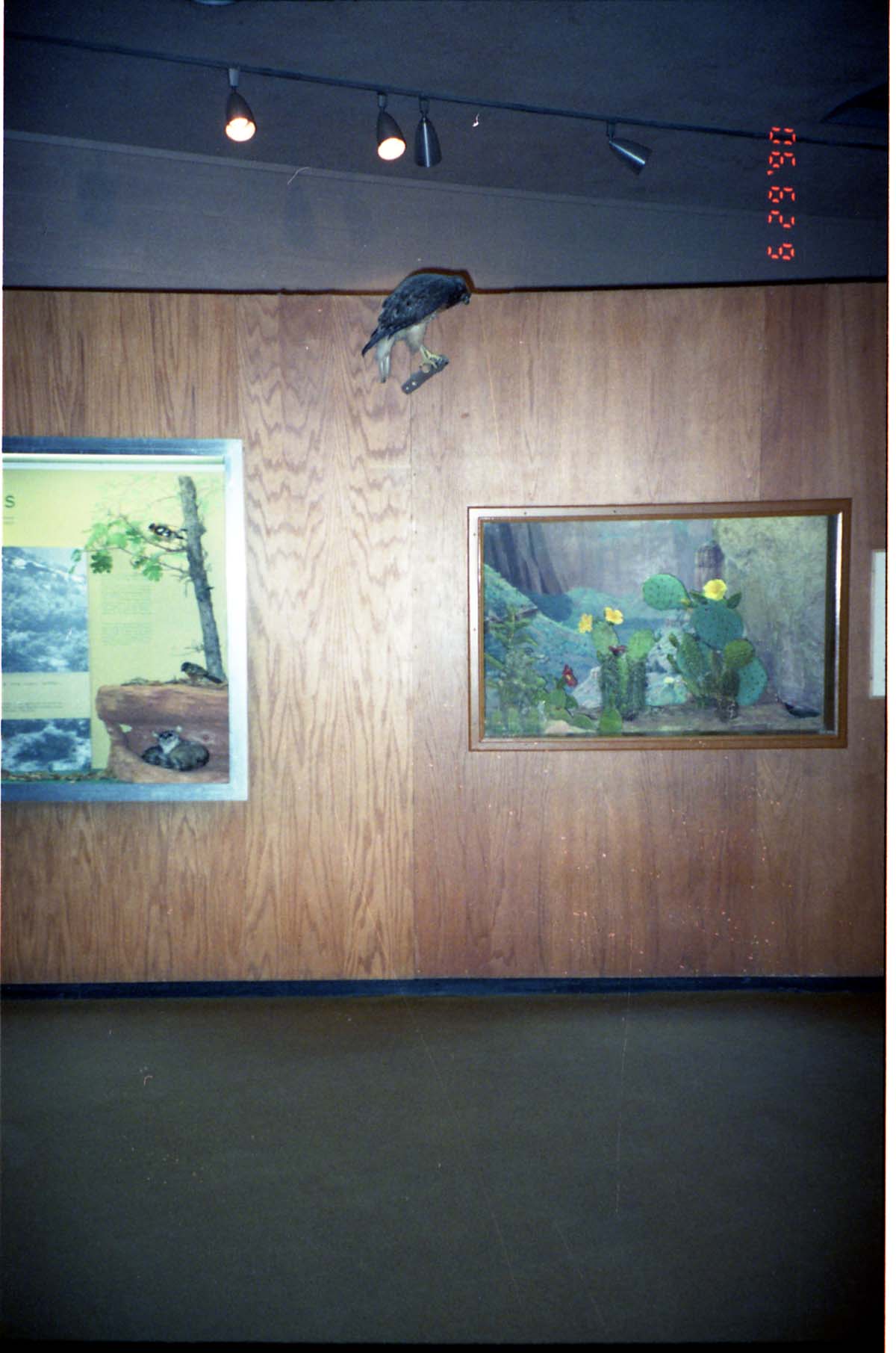 Color Photos of the old visitor center exhibits.