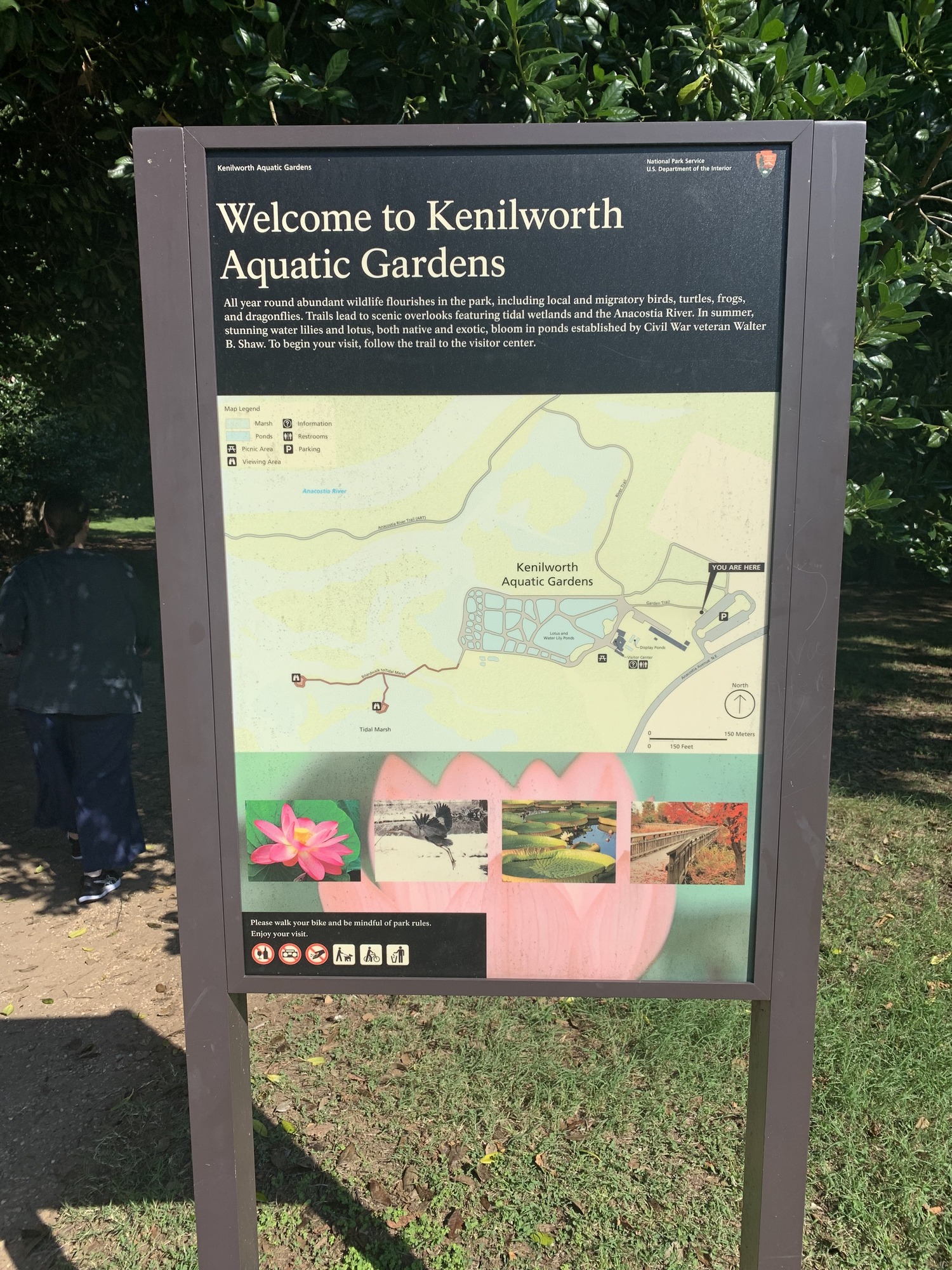 A sign at the entrance to the Kenilworth Aquatic Gardens.