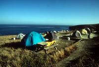 Campground, Santa Barbara Island