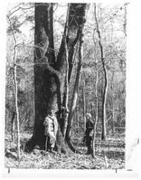 2 women, wearing cold weather clothing, stand next to a very large oak tree trunk and other thinner trees.