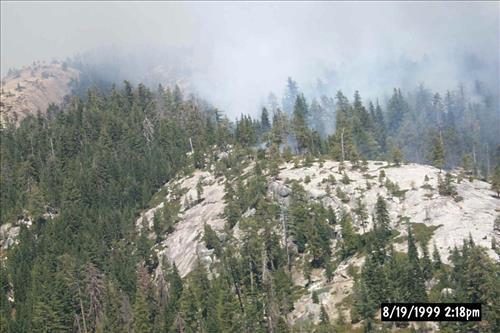 Eleanor Wildland Fire, August-September 1999, Yosemite National Park