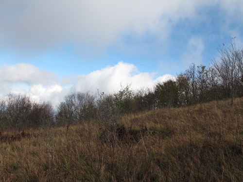 GRSM Accuracy Assessment. Plot Code: GRSM_AA_0015_2