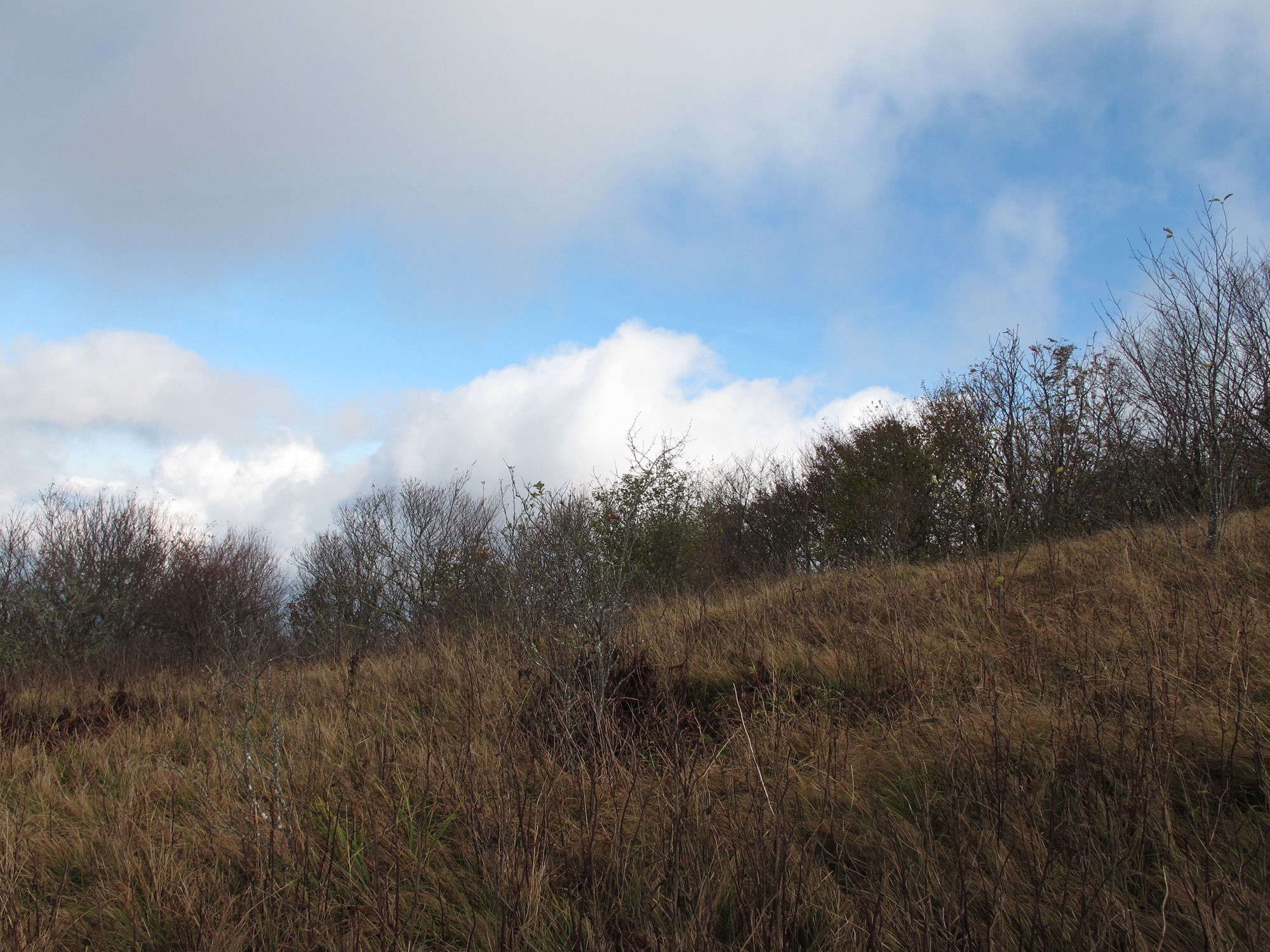 GRSM Accuracy Assessment. Plot Code: GRSM_AA_0015_2