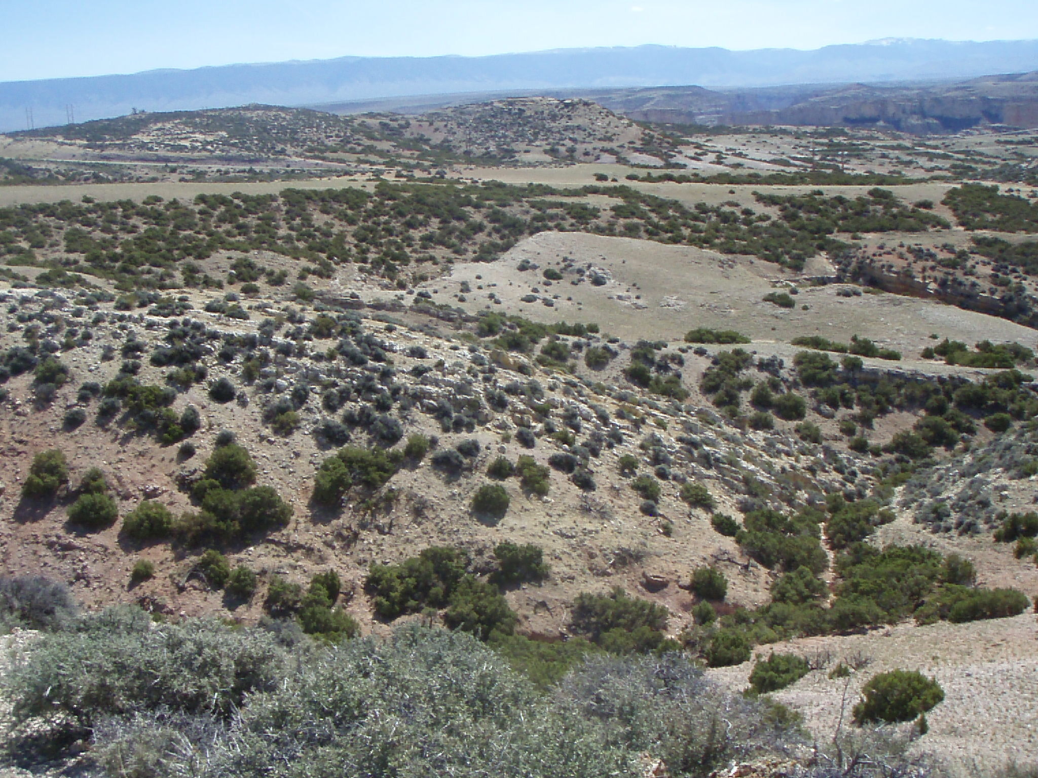 Image of the vegetation and landscape at photo point in Bighorn Canyon NRA 