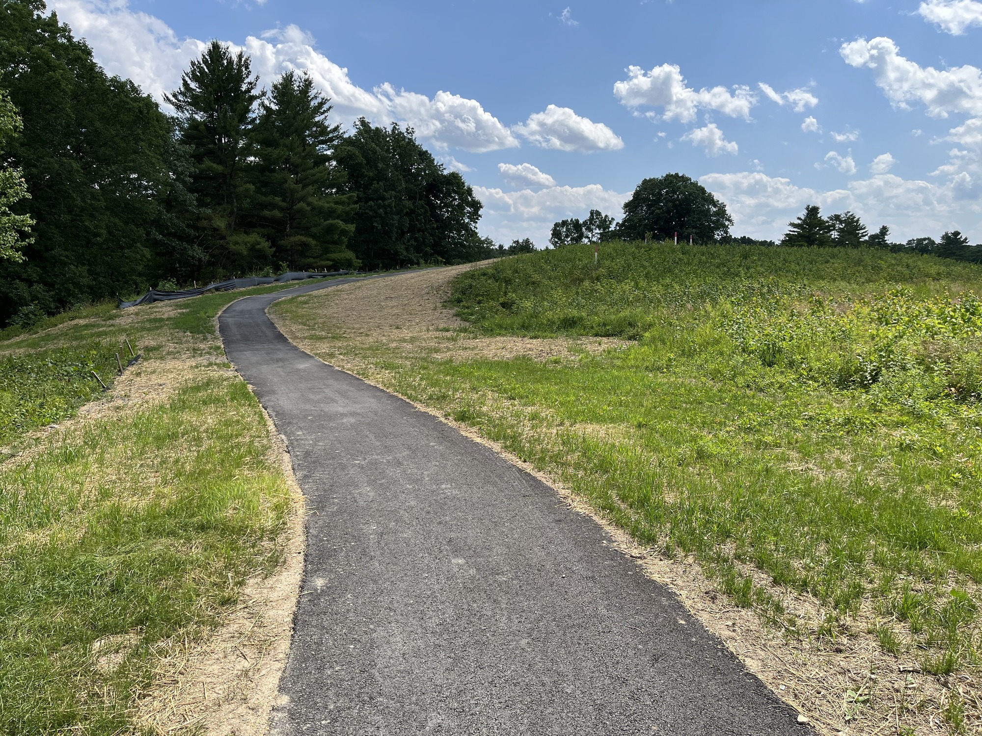 A blacktop path meanders from center foreground up a hill. 