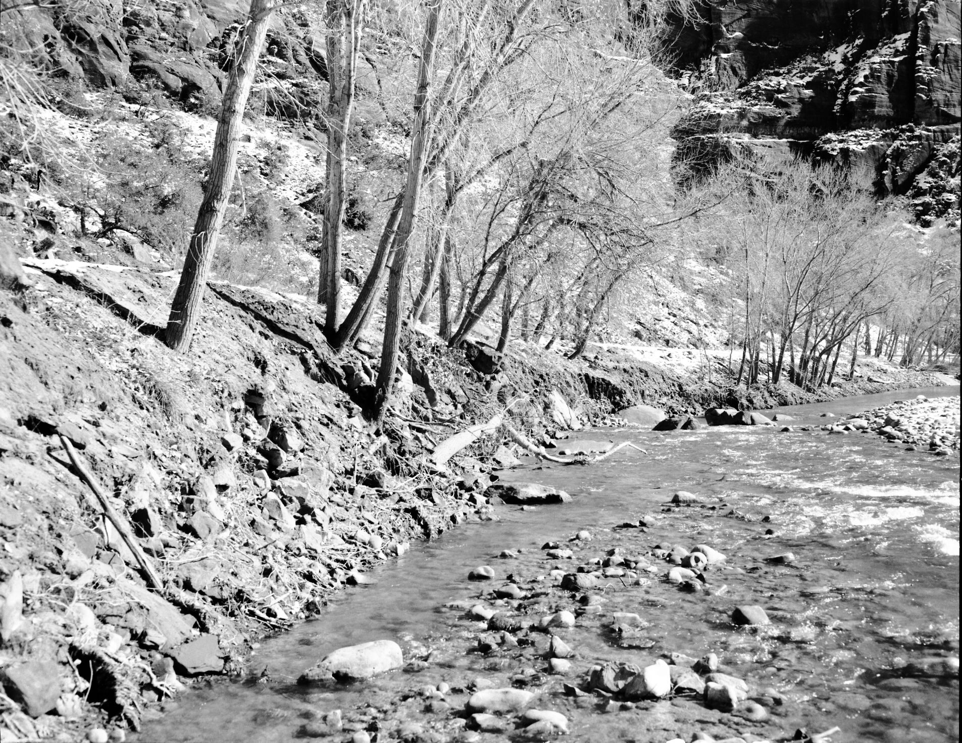 Flood damage to Virgin River bank.