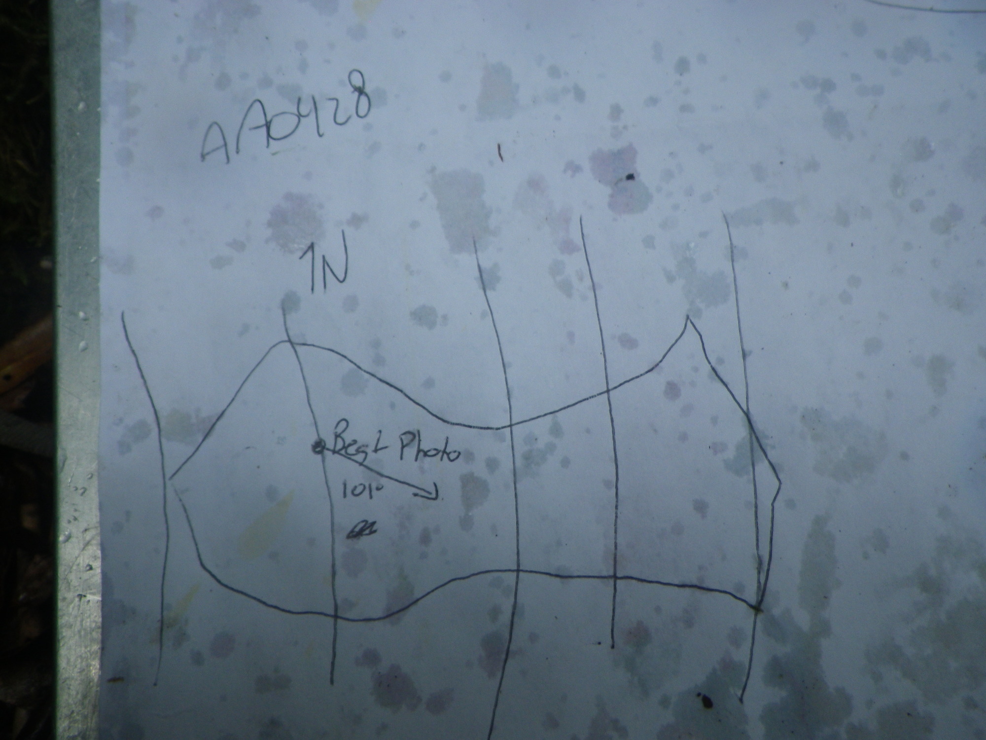 GRSM Accuracy Assessment. Plot Code: GRSM_AA_0428_7