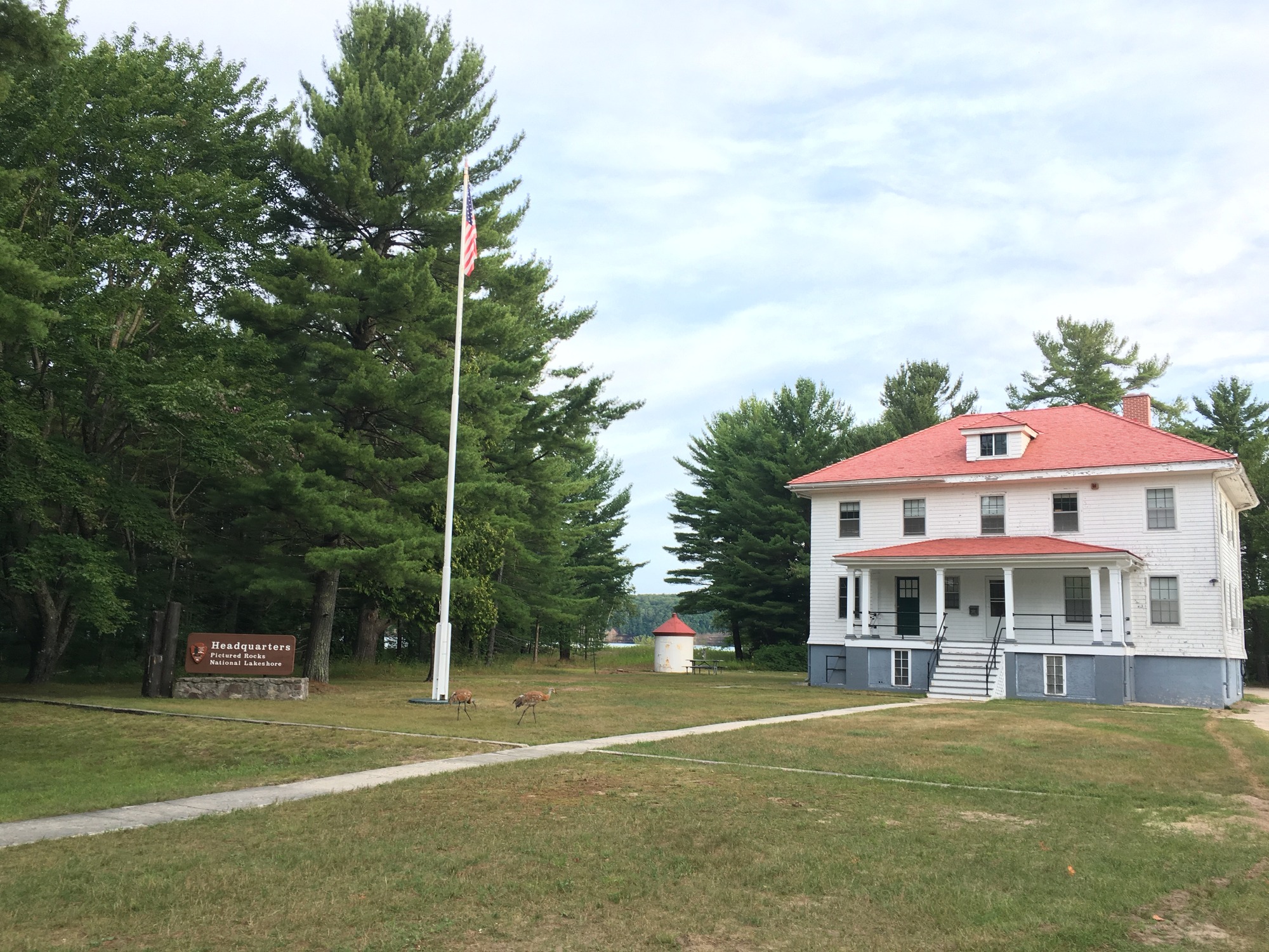 Park Headquarters at Sand Point in Munising  on a summer day. Park sign is in front next to the flag pole. A pair of sandhill cranes are on the lawn.