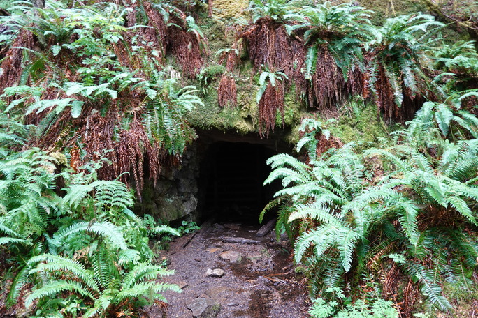 A roughly square mine entrance cuts into a rockface covered in moss and ferns. 