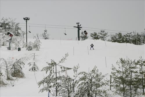 Special Olympics Ohio downhill skiing 1