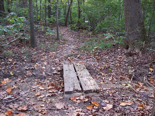 FOWA-Existing Conditions at Fort Washington Park, October 15, 2008