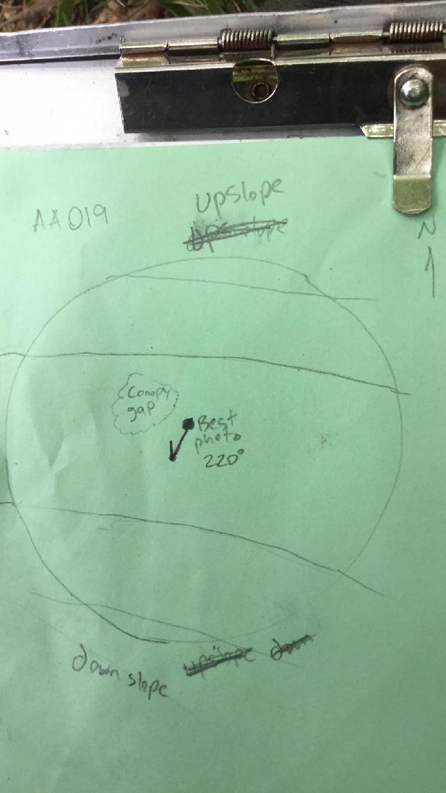 GRSM Accuracy Assessment. Plot Code: GRSM_AA_0019_map