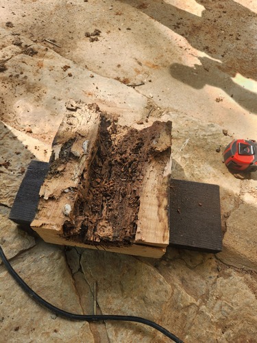 A segment of old wooden beam has been cut away and split in half, revealing a badly rotted interior.