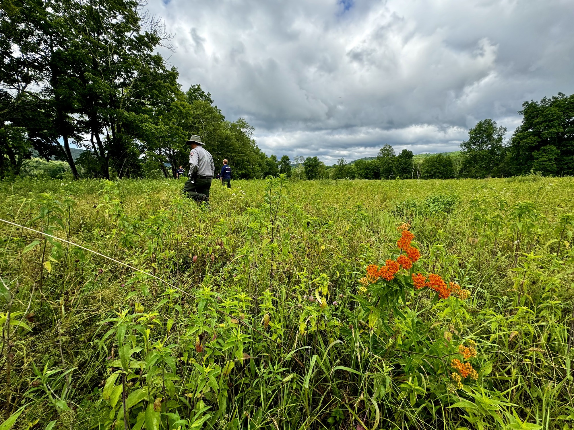 Park Natural Resource Manager, Regional Fire Staff, IPMT Staff and representatives from the Southeastern Grasslands Institute evaluate grassland conditions at the Walpack open area. 