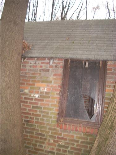 OXCO-Existing Trail Conditions at Oxon Cove Park, February 2, 2009