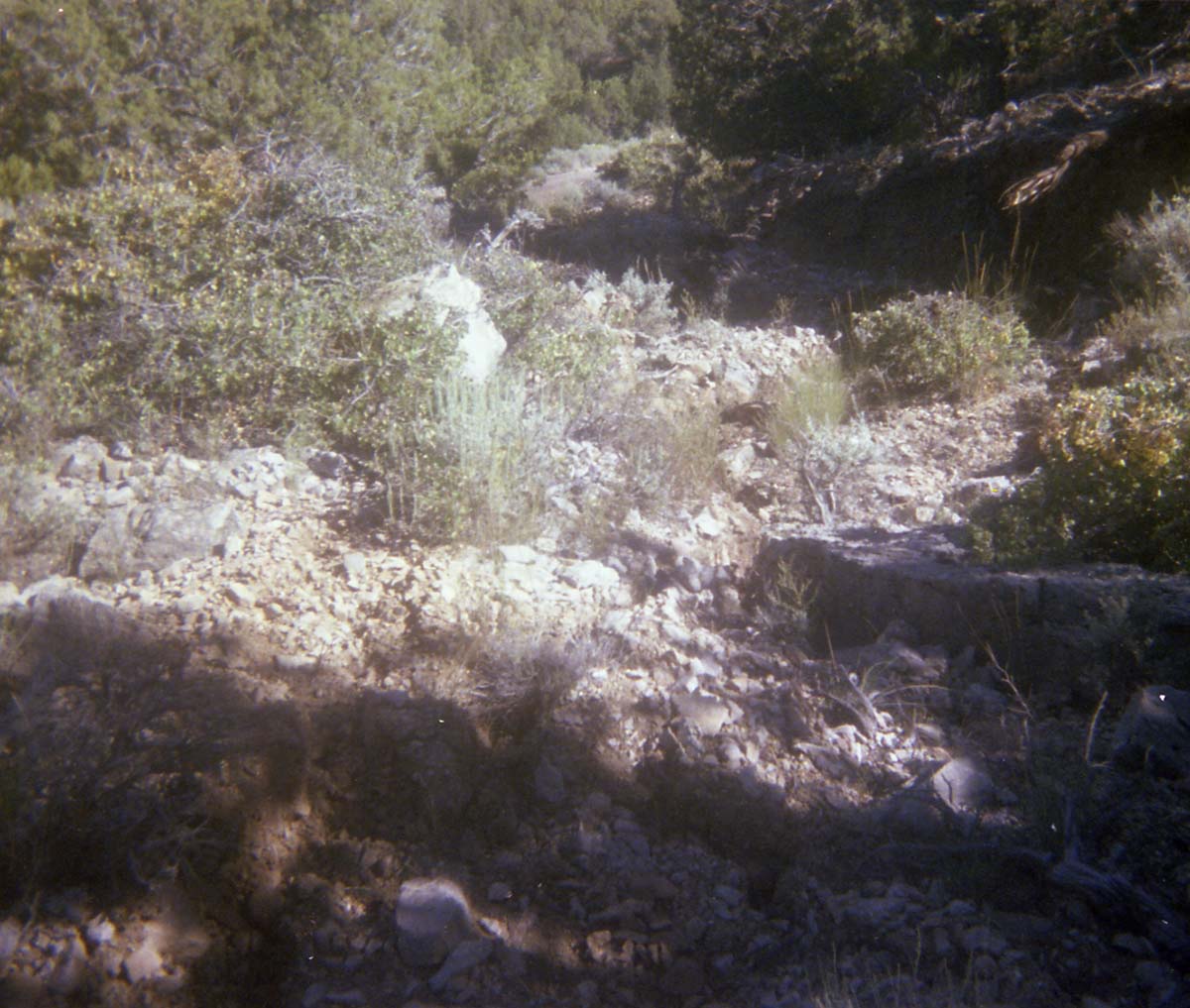 Color Photos of rock slides in Kolob Canyon.