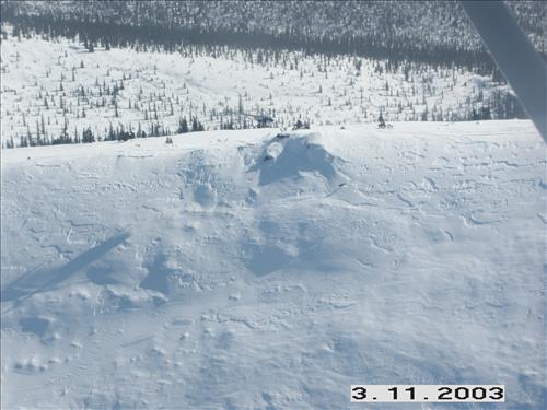 2 Yukon-Charley Rivers National Preserve Wolf Capture 2003