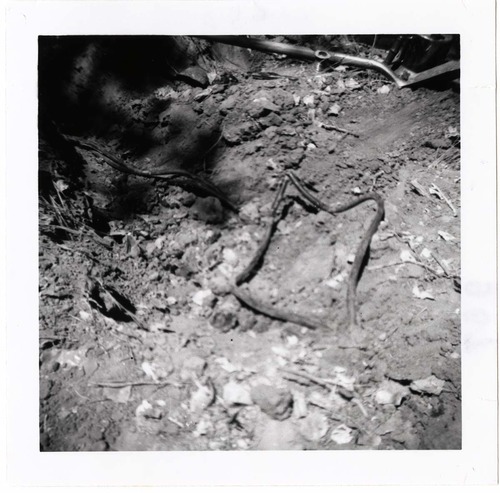 Wiring problem in the Grotto area.