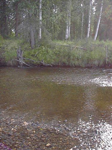 Bonanza Creek Water Quality Testing, Yukon-Charley Rivers, 2003