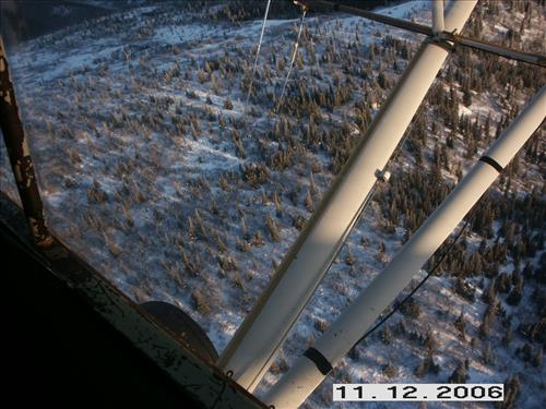 1 Yukon-Charley Rivers National Preserve Moose Survey November 2006