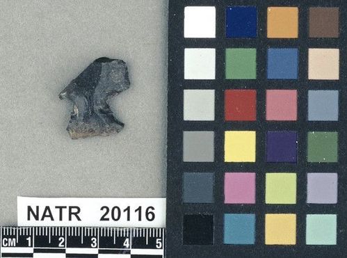 NATR   20116 -- Untyped projectile point