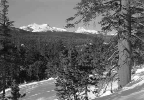 Cathedral Peak and Unicorn from Tioga Road