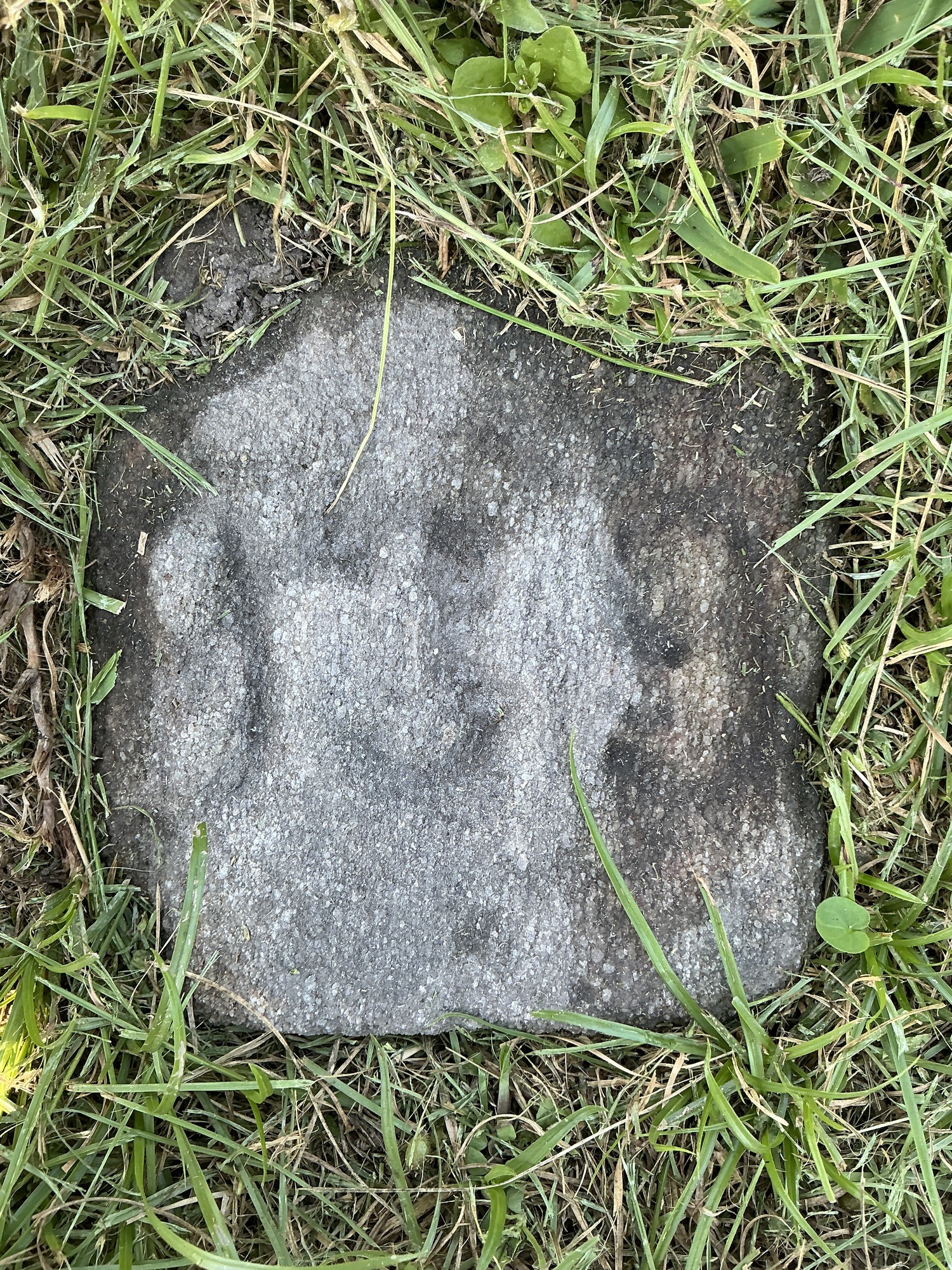 Top of flat marble marker