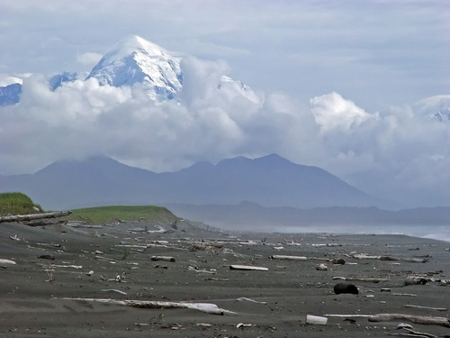 A beach scattered with logs featuring a large mountain with clouds in the background