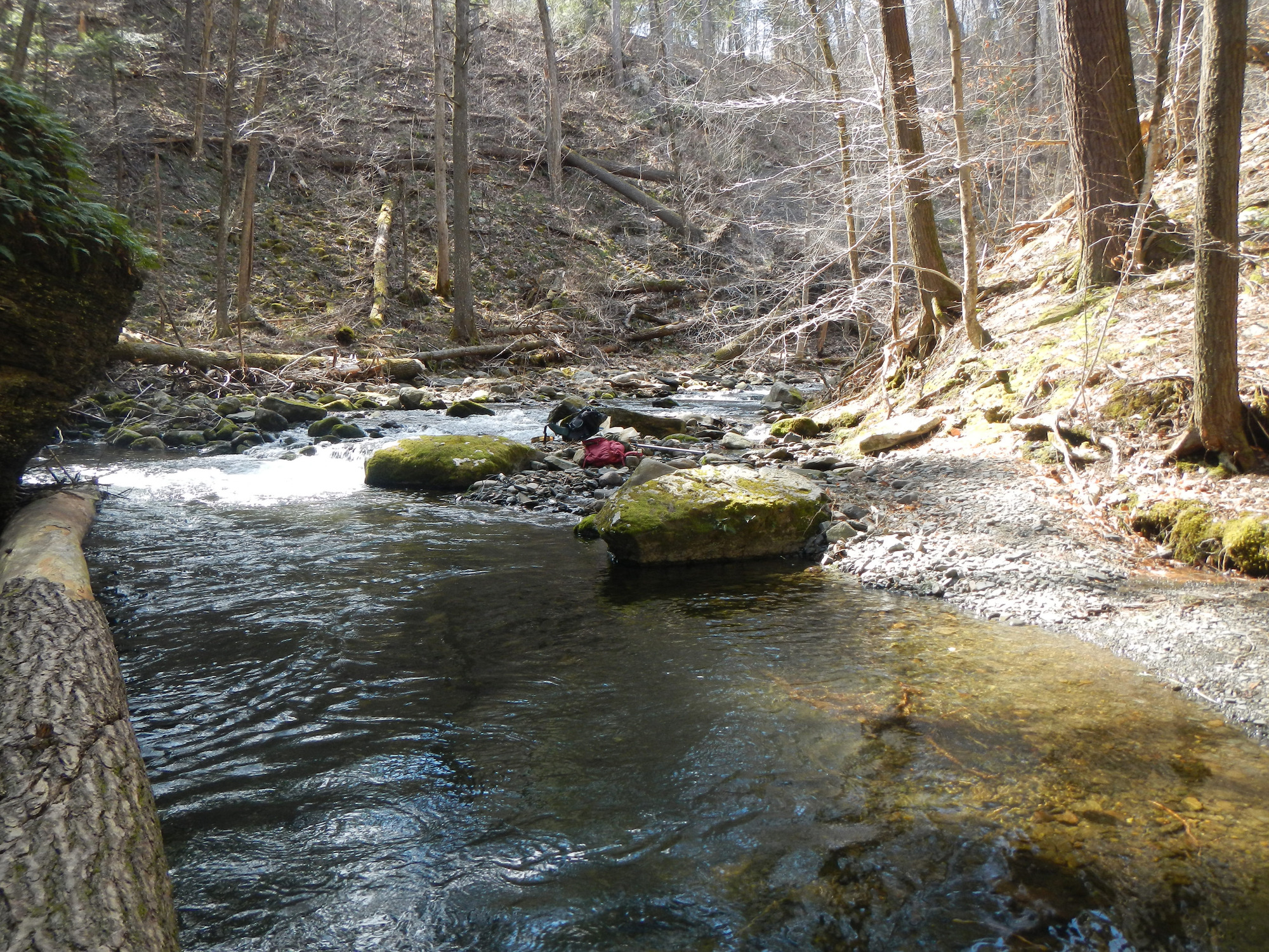 Site visit photo showing the upstream (UP) or downstream (DN) view of a wadeable stream reach taken during benthic macroinvertebrate monitoring at Delaware Water Gap National Recreation Area.