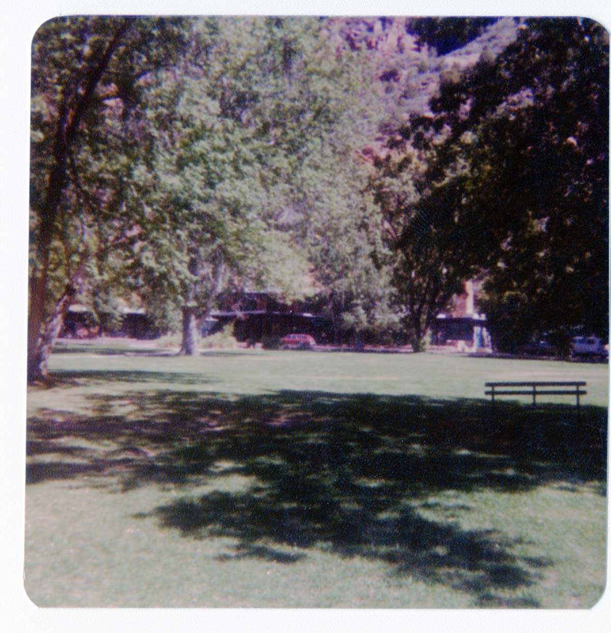 The grounds around the Zion Lodge.