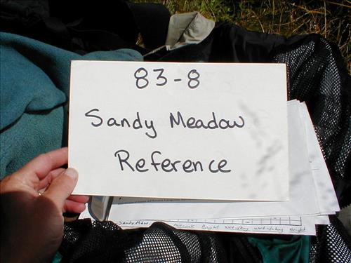 Sandy Meadow in Sept. 2003, Sequoia and Kings Canyon National Park