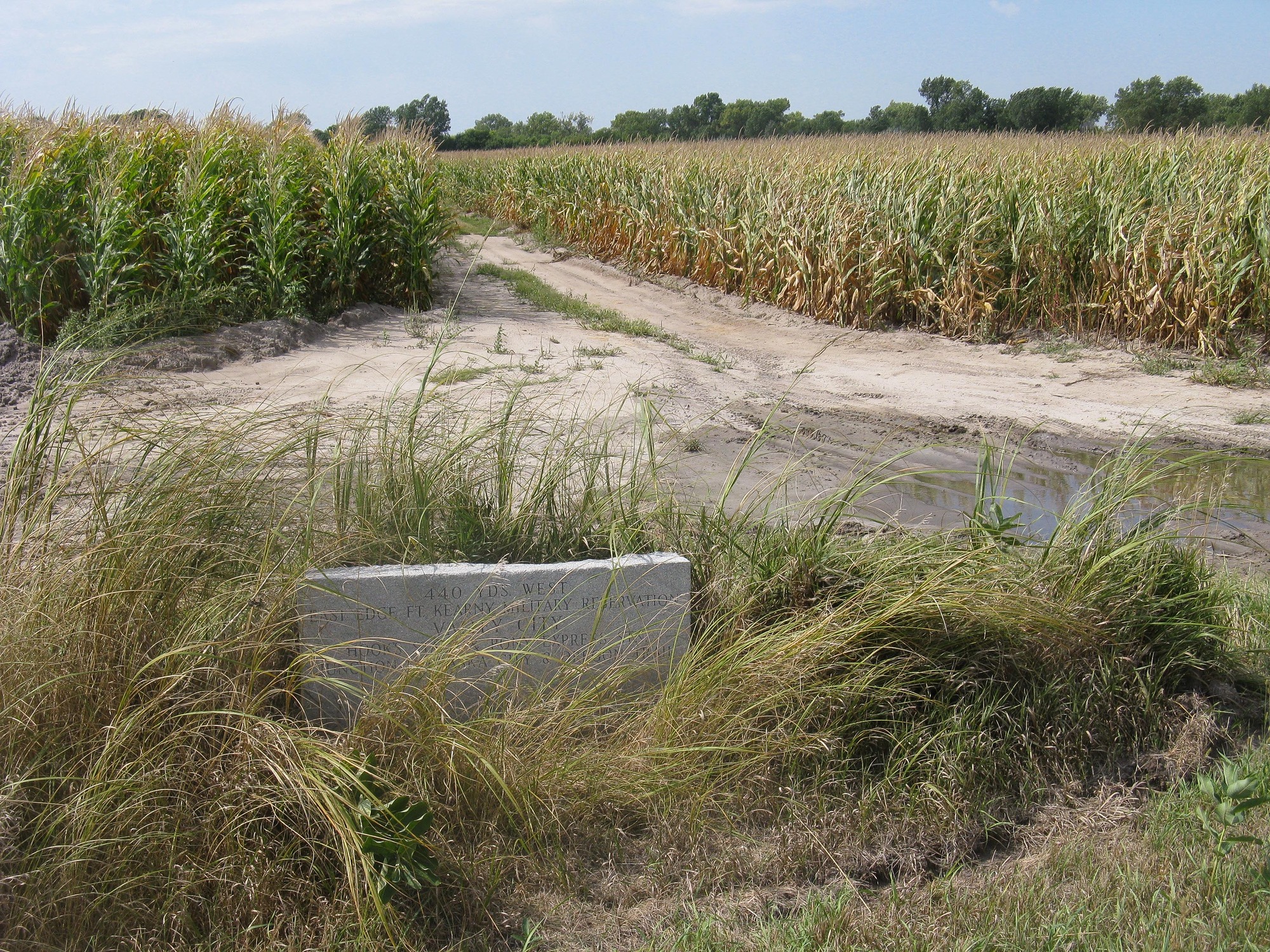 Short, inscribed stone monument marking the location of Valley Pony Express Station that is surrounded by corn fields.