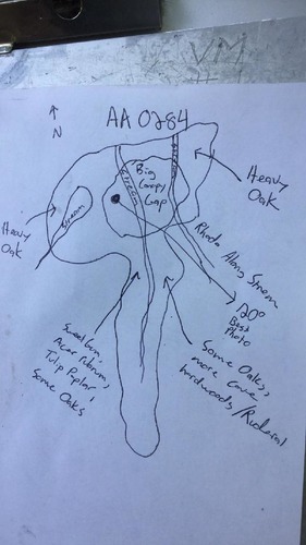 GRSM Accuracy Assessment. Plot Code: GRSM_AA_0284_map