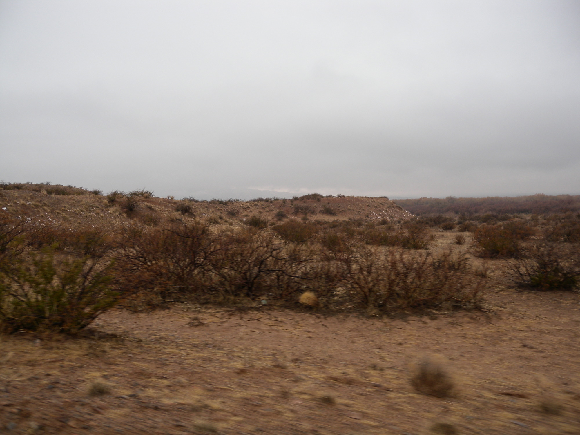 A close-up shot of a possible campsite along Bosquecito Road outside of Socorro, NM