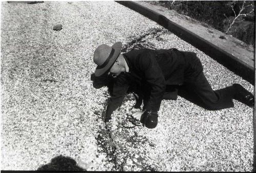 BW photos of rock slides in Kolob Canyons - 2x2. Ranger with camera reaching into crack in the road.