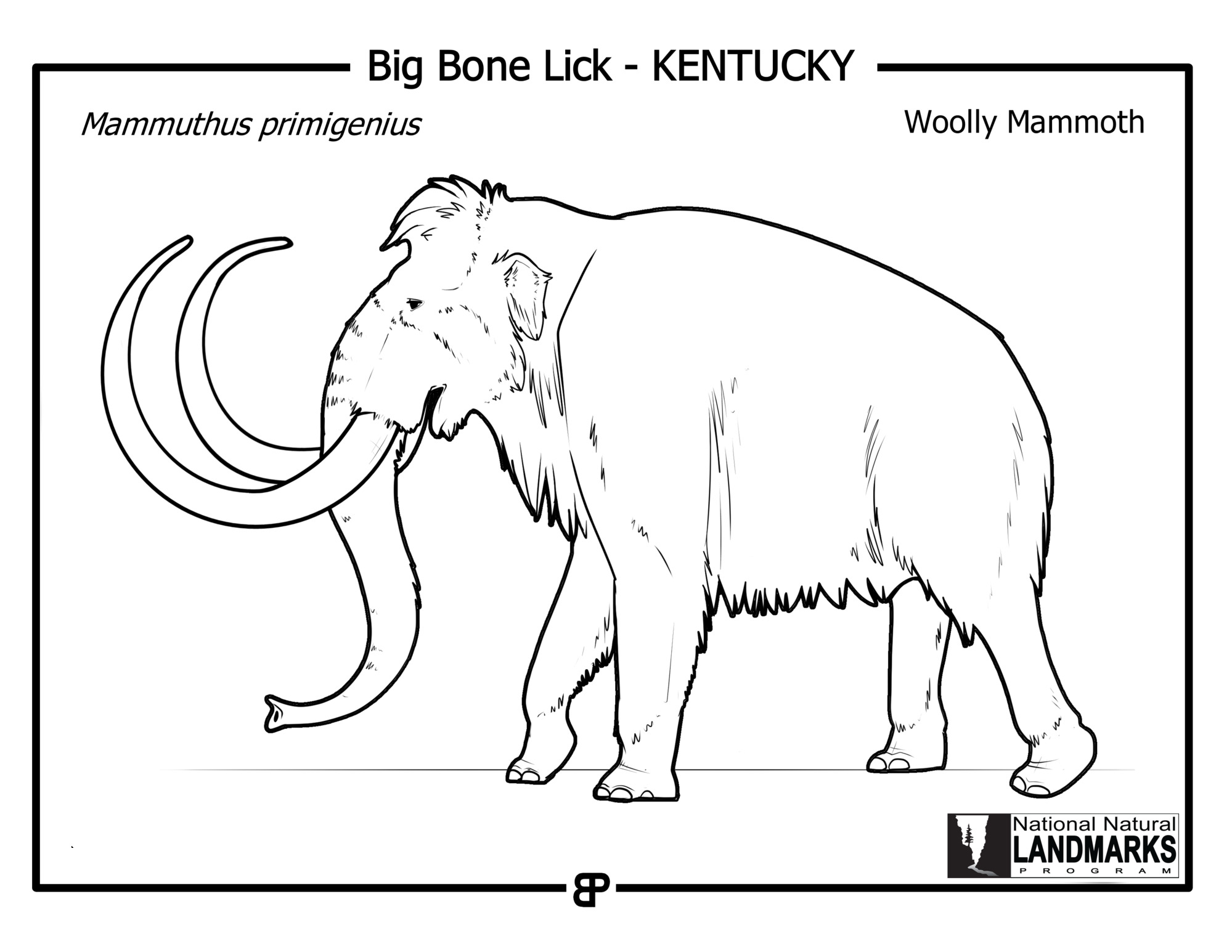 Black and white line drawing of a woolly mammoth