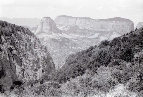 BW photo of the 1937 grazing study 35MM.