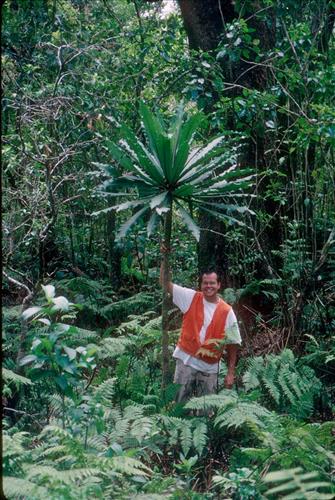 Supporting Images for PMIS#16750 - Mitigate feral animal ingress to protect recovering Haleakala Rainforest
